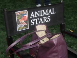 Animal Stars Director's Chair